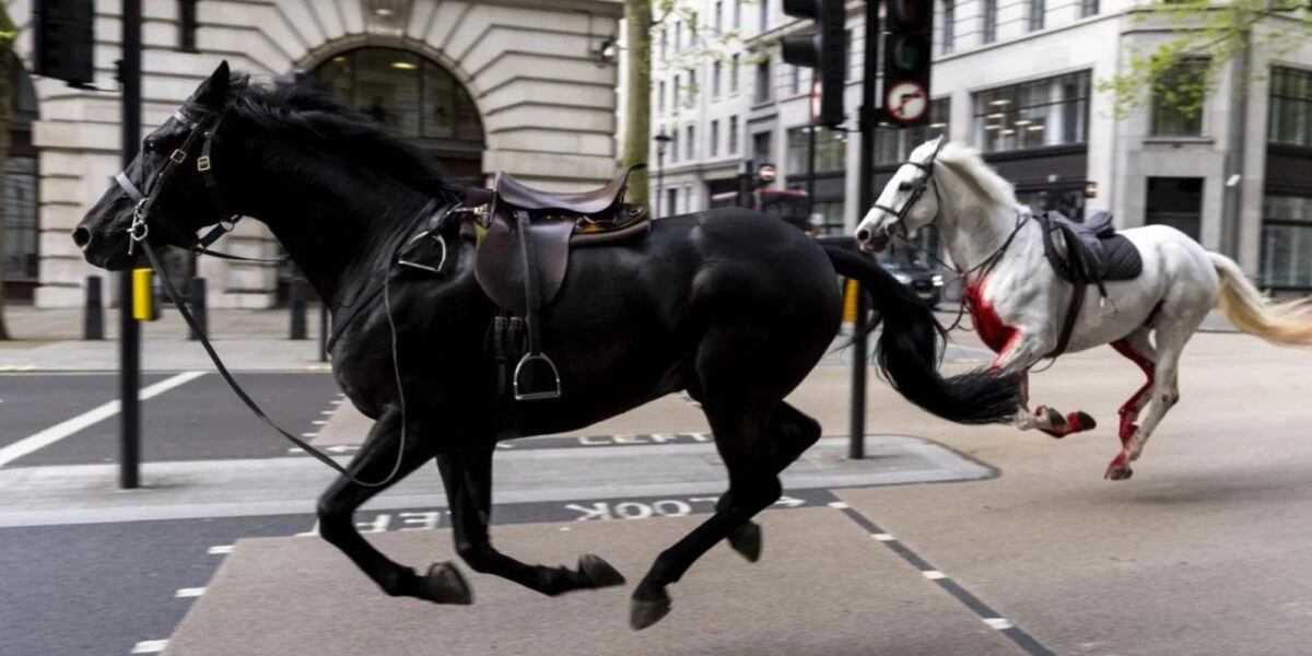 Άλογα Λονδίνο