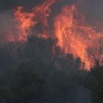 Πώς η Τεχνητή Νοημοσύνη θα σώσει τα ελληνικά δάση από τις φωτιές - Το «πείραμα» με το Σέιχ Σου