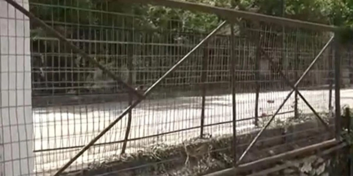 Ατύχημα Φθιώτιδα