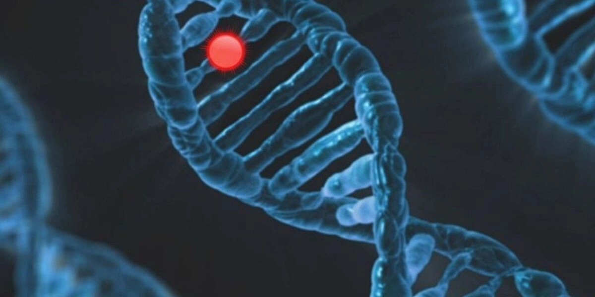 Αυτοάνοσα & Αλλεργίες