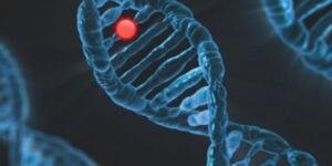 Αυτοάνοσα & Αλλεργίες