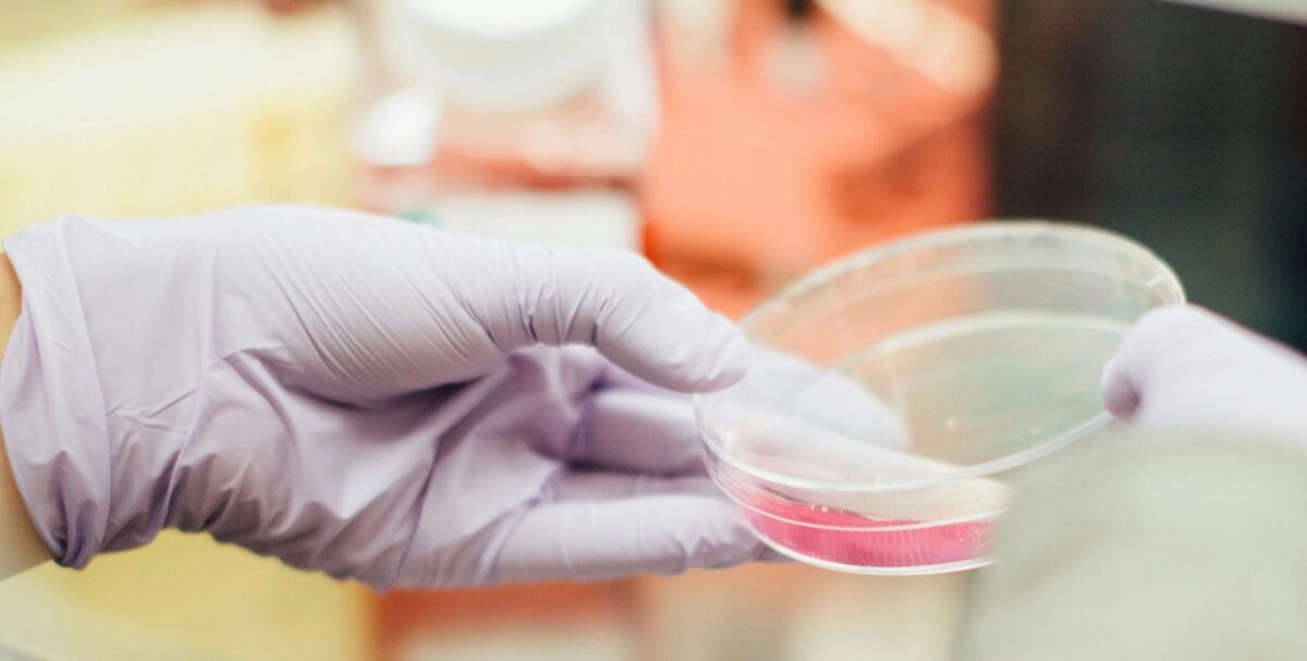 Ιατρικές εξετάσεις