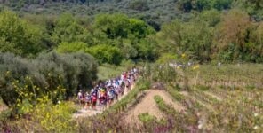 Δρόμος Ολυμπιακής Εκεχειρίας