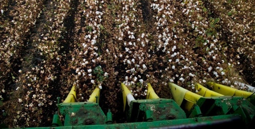 Πληρωμές στον αγροτικό τομέα