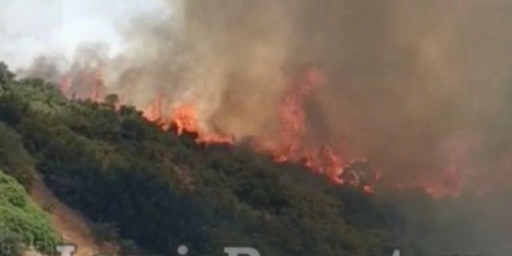Πυρκαγιά στη Λαμία