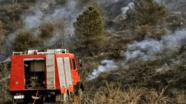 Πυρκαγιά Πλατύ Μεσσηνίας/ΑΠΕ - ΜΠΕ