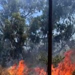 Φωτιά στην Πρέβεζα: Ήχησε το «112» – Εντολή για εκκένωση δύο περιοχών