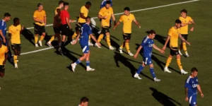 Επίθεση Ποτένσε σε αντίπαλό του