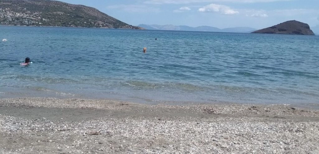 Παραλία Αυλάκι, Πόρτο Ράφτη