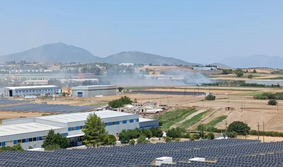 Φωτιά στο Δήλεσι