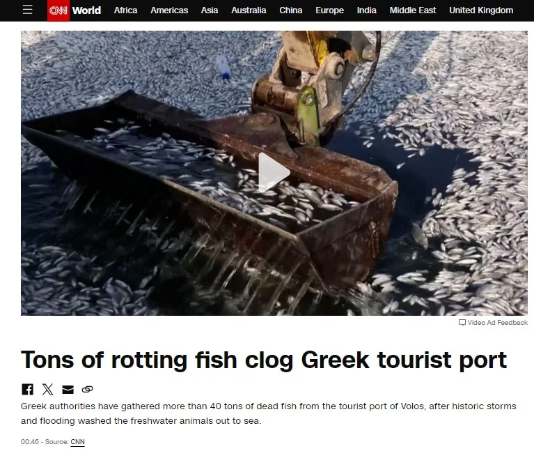 CNN για νεκρά ψάρια στον Βόλο