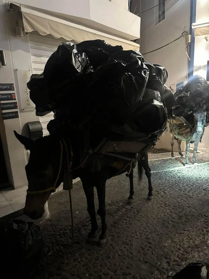 Καταπονημένα γαϊδουράκια στη Σαντορίνη