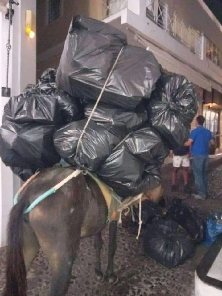 Καταπονημένα γαϊδουράκια στη Σαντορίνη