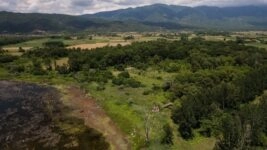 Κιλκίς/ΑΠΕ - ΜΠΕ