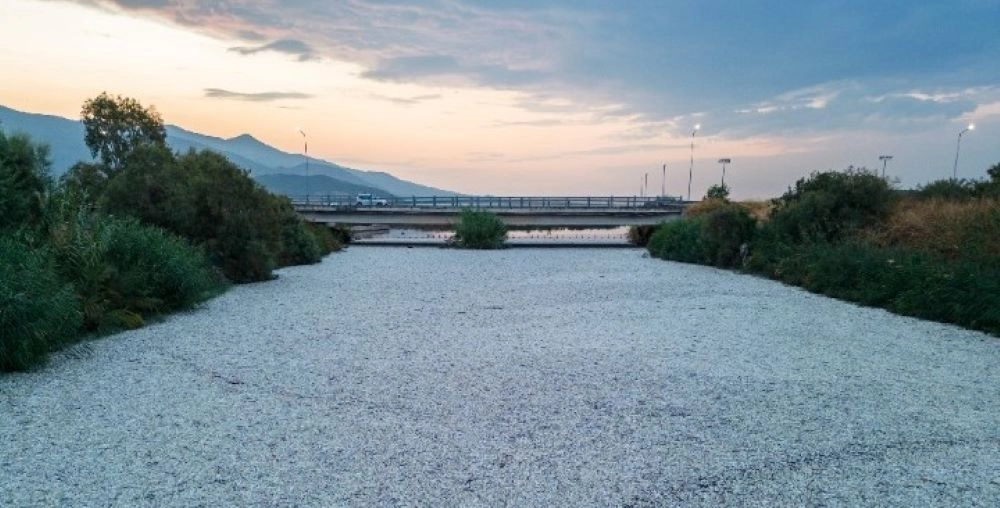 Νεκρά ψάρια στον Παγασητικό