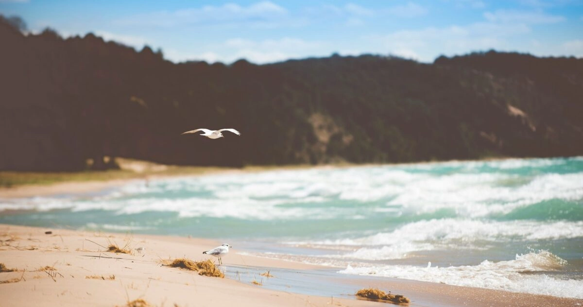 Παραλία με κύματα