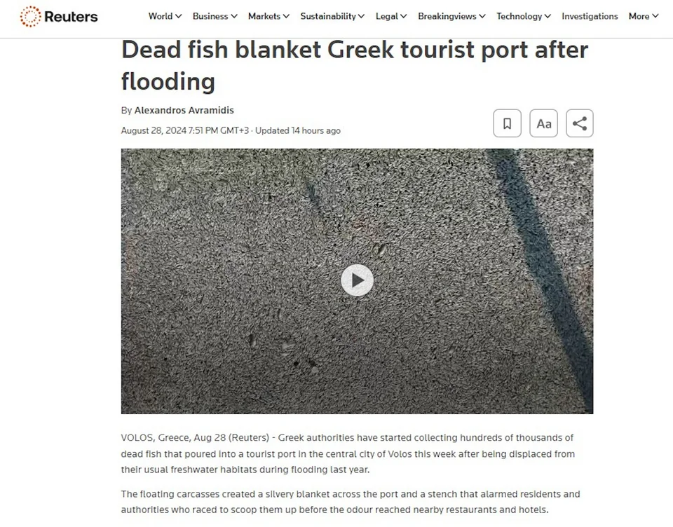 Reuters για νεκρά ψάρια στον Βόλο