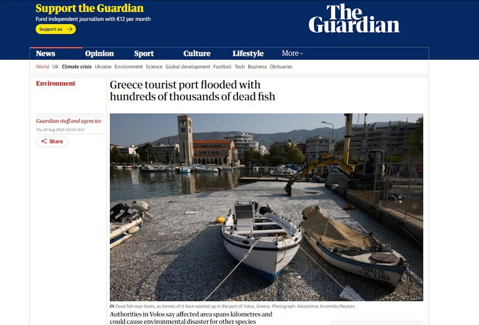Guardian για νεκρά ψάρια στον Βόλο