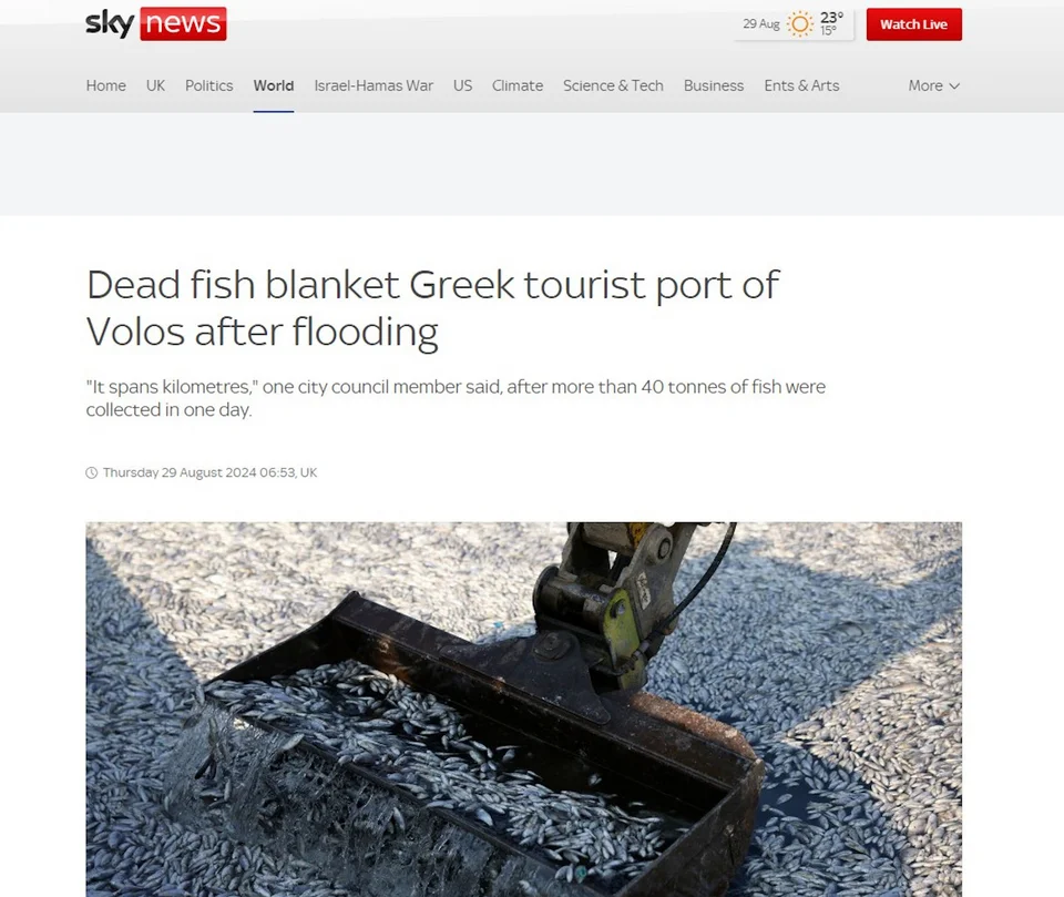 Skynews για νεκρά ψάρια στον Βόλο