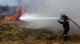 Πυροσβέστης παλεύει με τις φλόγες/ΑΠΕ - ΜΠΕ