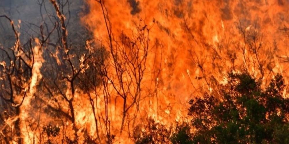 Απαλλαγή από την καταβολή ΕΝΦΙΑ για τους πυρόπληκτους της Βόρειας Εύβοιας και το 2024