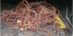 Καλώδια της ΔΕΔΔΗΕ