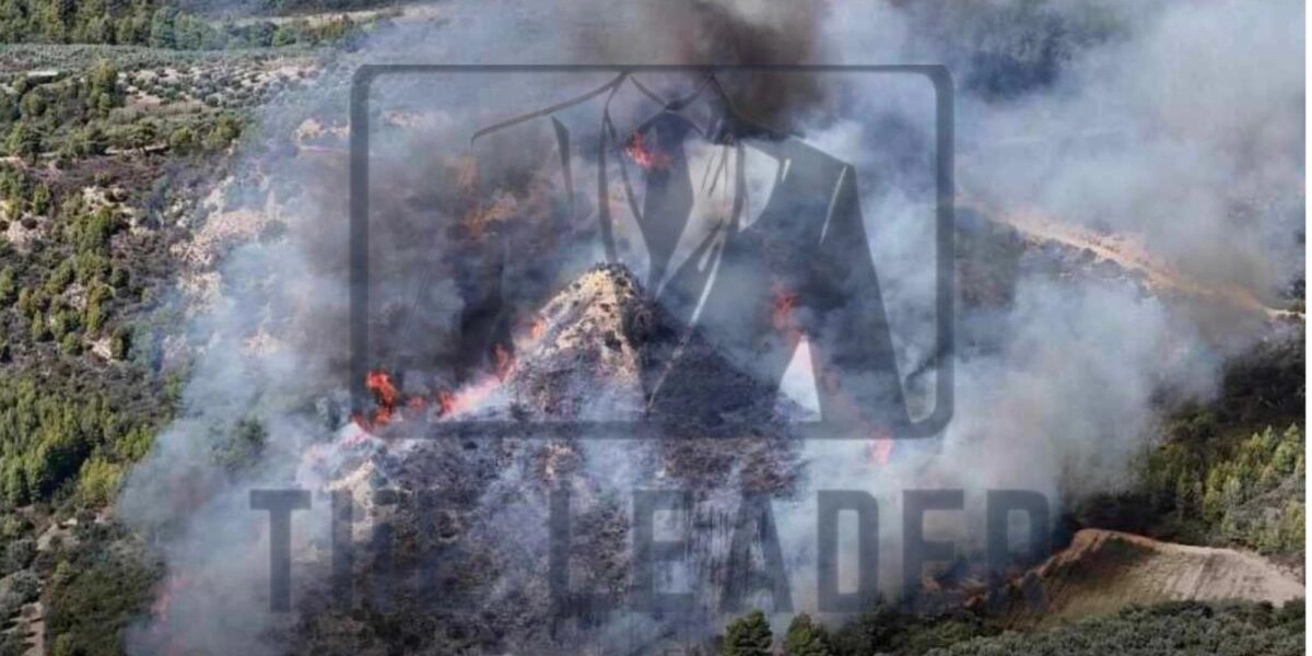 Φωτιά Ηλεία