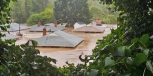 Τυφώνας Ελίν