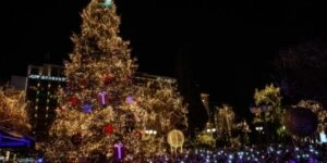 Χριστουγεννιάτικο δέντρο