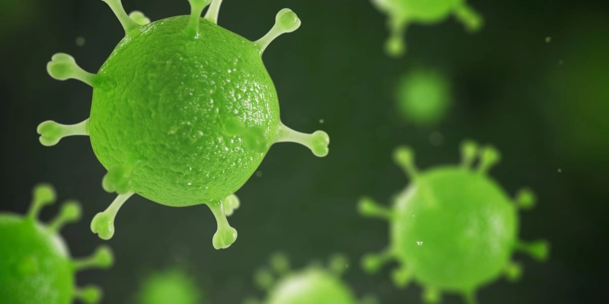 Θεσσαλονίκη: Δεύτερο κρούσμα HMVP – Η ανακοίνωση ΕΟΔΥ