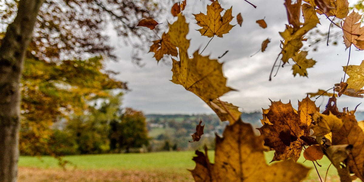 Καιρός: Ήπιος με κρύο το βράδυ και βοριάδες – Τι προβλέπουν οι μετεωρολόγοι από τις 16 Δεκεμβρίου και μετά
