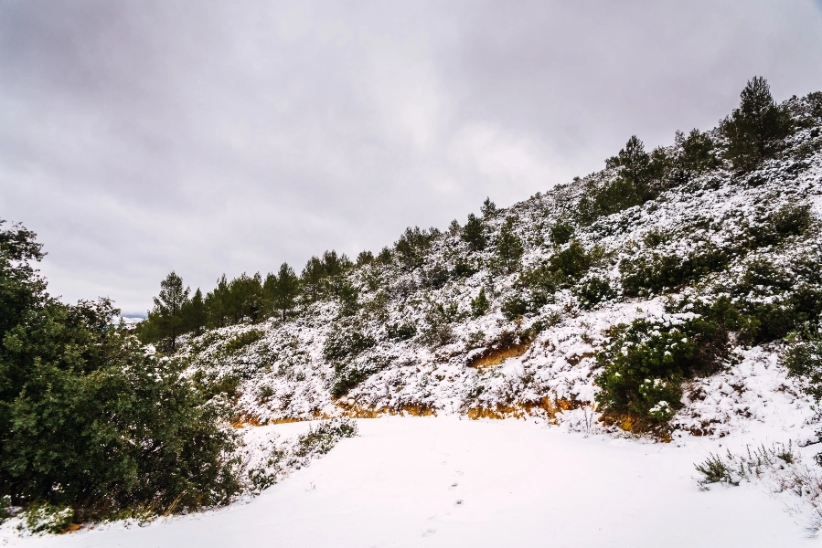 Κακοκαιρία: Πού είναι κλειστά τα σχολεία