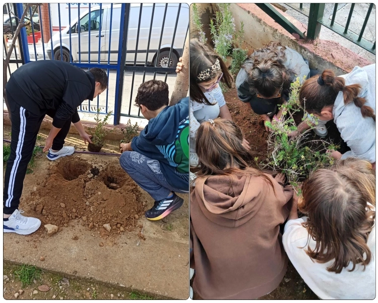 Δράσεις Δενδροφύτευσης στον Δήμο Νίκαιας-Αγ.Ι. Ρέντη με τη συμμετοχή κατοίκων και μαθητών