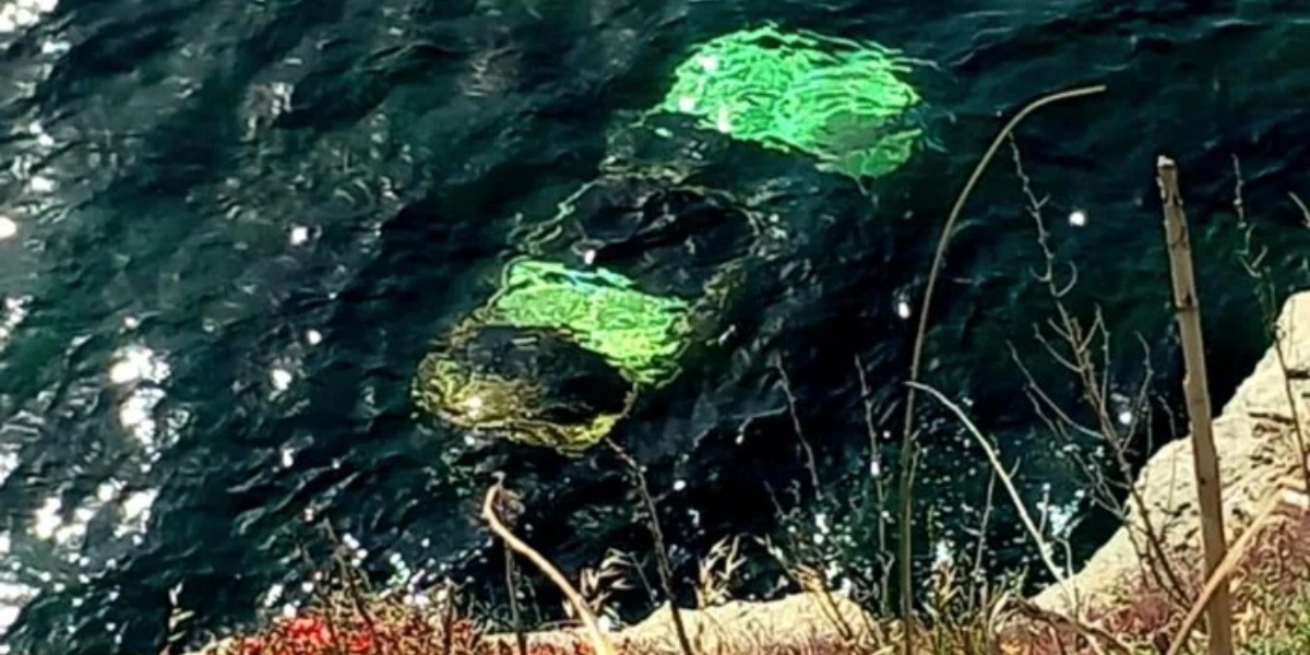 Άνδρος: Τραγικός θάνατος για 67χρονη που έπεσε με αυτοκίνητο στη θάλασσα