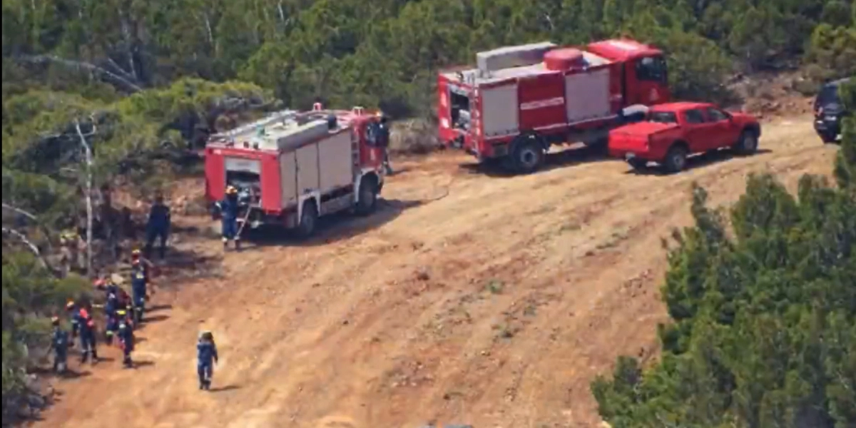 Πυροσβεστική: Ολοκληρώθηκε παρουσία Κεφαλογιάννη η άσκηση δασικής πυρκαγιάς «Διά Πυρός» στην Αττική