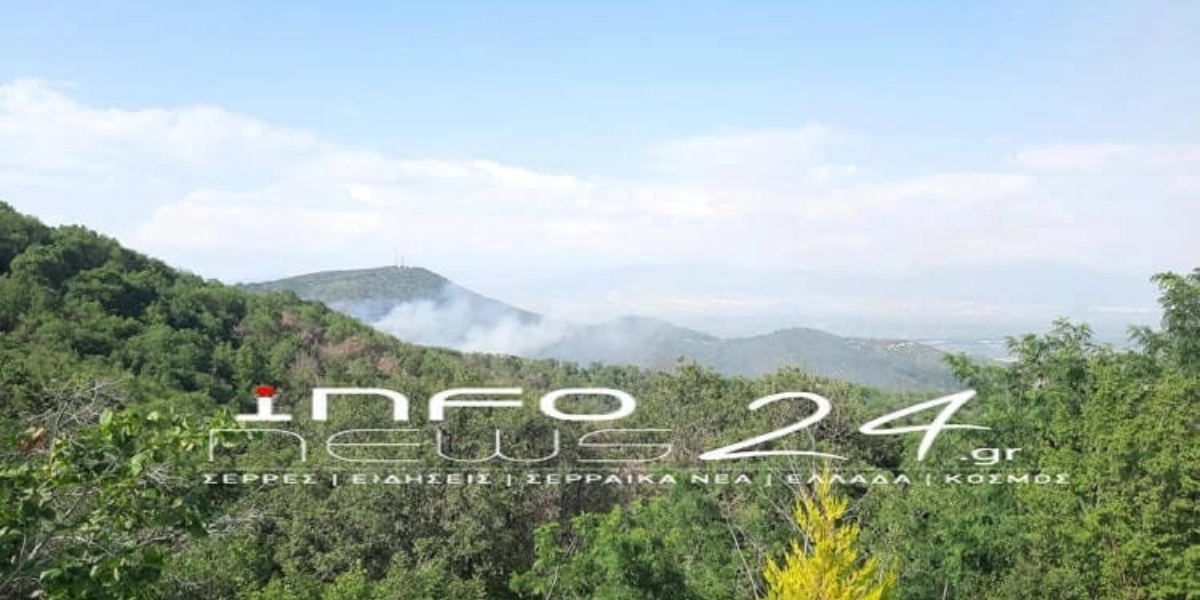Σέρρες: Σε ύφεση η φωτιά που ξέσπασε σε δάσος στο Κεφαλοχώρι