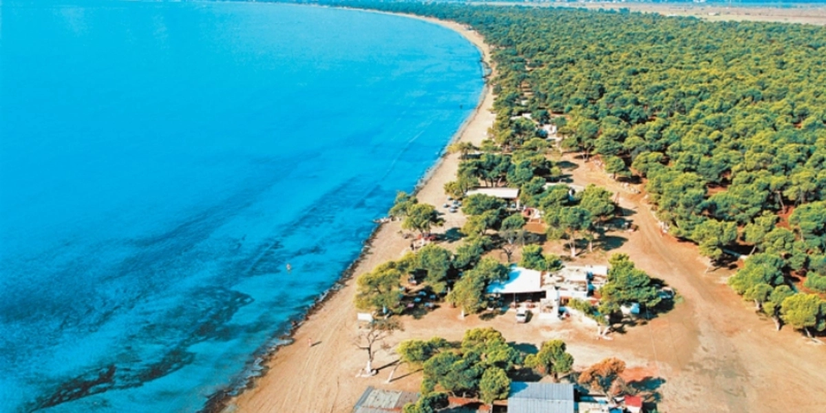 Σχινιά: Κλειστό το πευκόδασος λόγω υψηλού κινδύνου πυρκαγιάς