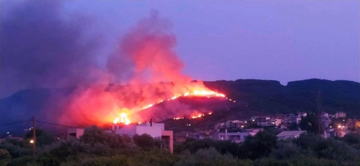 Φωτιά στη Ναύπακτο: «Αν δεν σημειωθεί κάποια αναζωπύρωση, σε λίγη ώρα θα τεθεί υπό έλεγχο» λέει ο αντιπεριφερειάρχης Αιτωλοακαρνανίας
