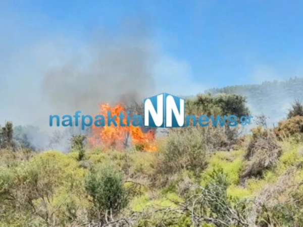 Φωτιά τώρα στη Ναύπακτο: Στο σημείο επιχειρούν δυνάμεις της Πυροσβεστικής