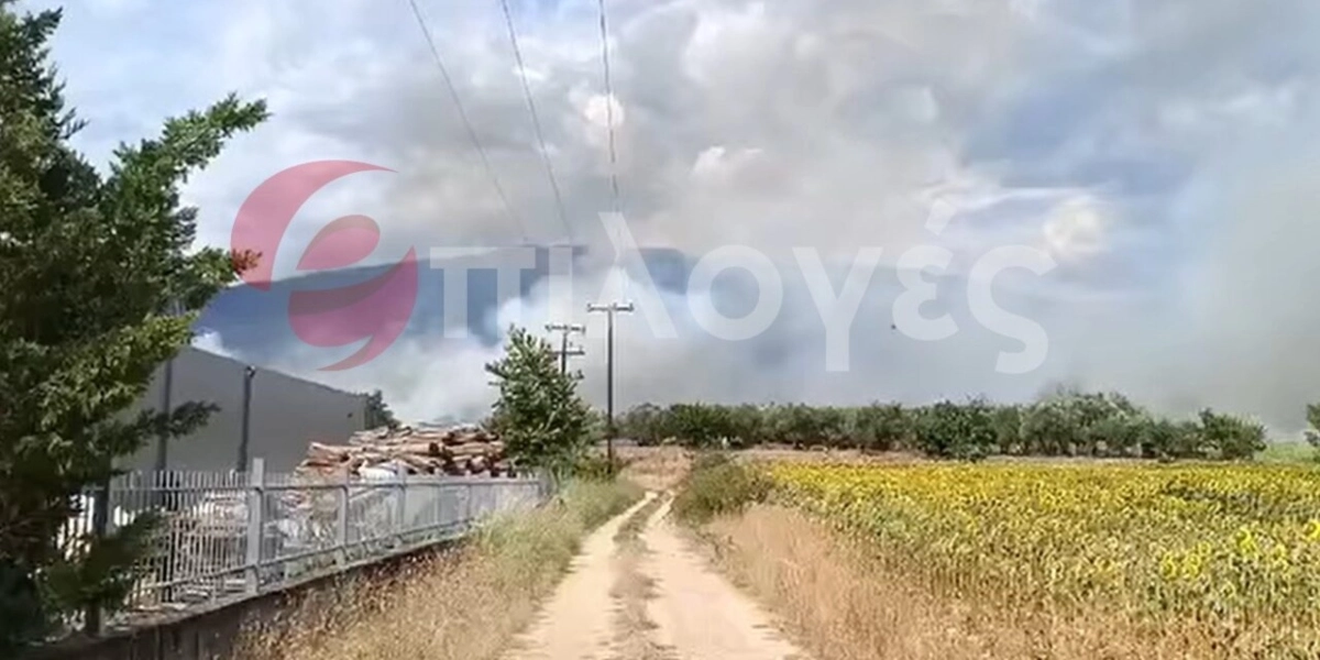 Σέρρες: Φωτιά σε εργοστάσιο ξυλείας στο Νέου Σούλι – Ενισχύθηκαν οι δυνάμεις – Μήνυμα 112
