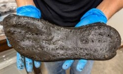 The Vindolanda Trust