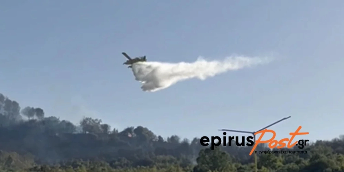 Ιωάννινα: Πέρασε τα σύνορα η φωτιά που ξεκίνησε στην Κακαβιά – Βελτιωμένη εικόνα