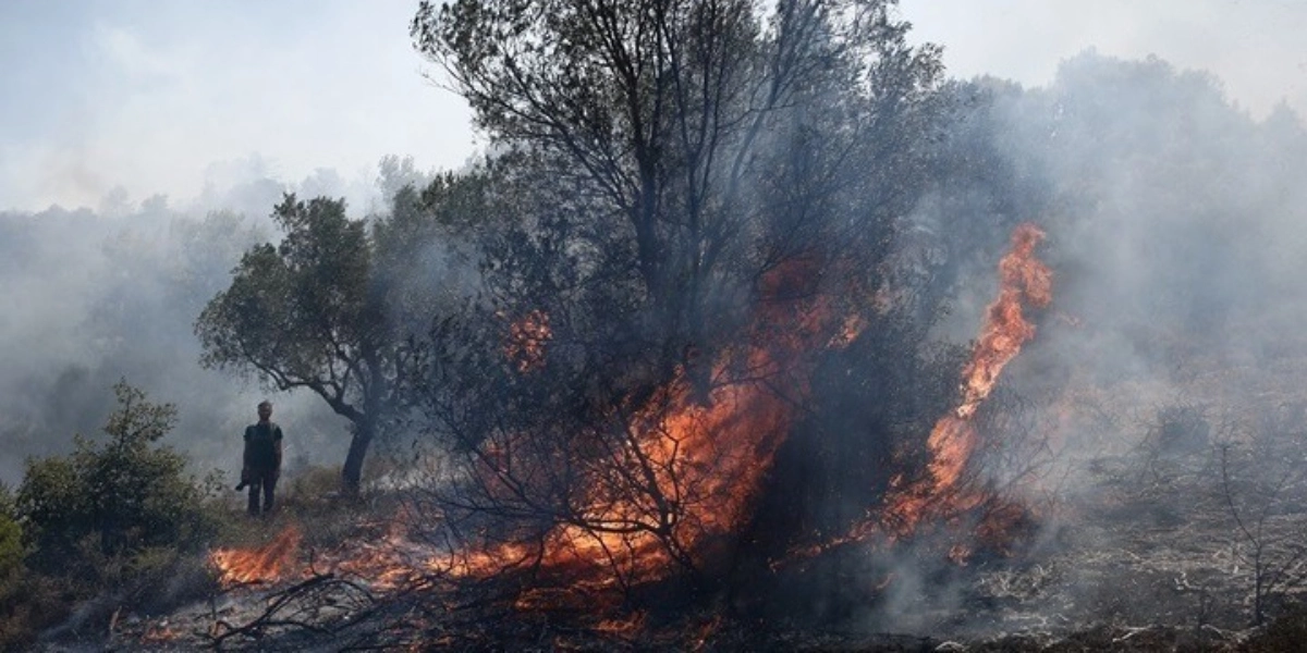 Πυροσβεστική: Πολλαπλά μέτωπα φωτιάς σε Μεσσηνία, Κόρινθο, Θεσσαλονίκη, Αιτωλοακαρνανία, Αργολίδα και Αττική
