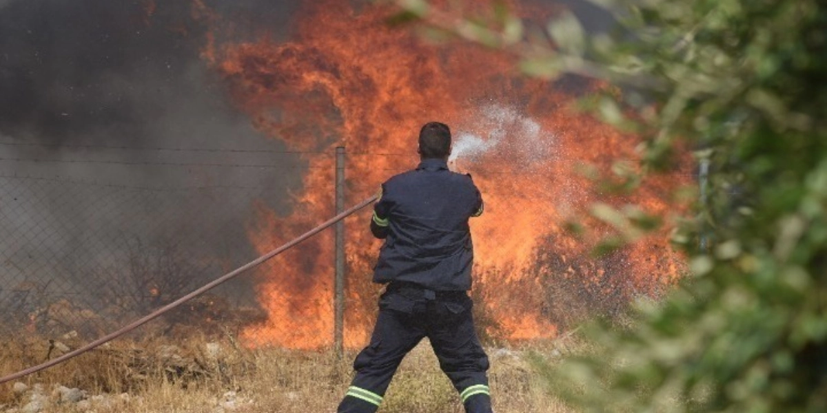 Αρχαία Ολυμπία: Φωτιά ξέσπασε στο δάσος της Σπαρτούλιας