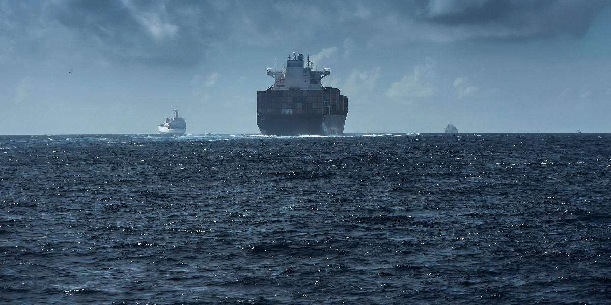 Τουρκία: Σχεδόν 3.000 αγελάδες εγκλωβισμένες σε πλοίο εδώ και 3 εβδομάδες, χωρίς νερό και τροφή