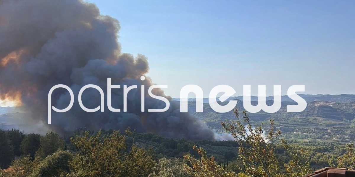 Ηλεία: Μεγάλη φωτιά σε δασική έκταση στο Χελιδόνι Αρχαίας Ολυμπίας – Κατευθύνεται βόρεια
