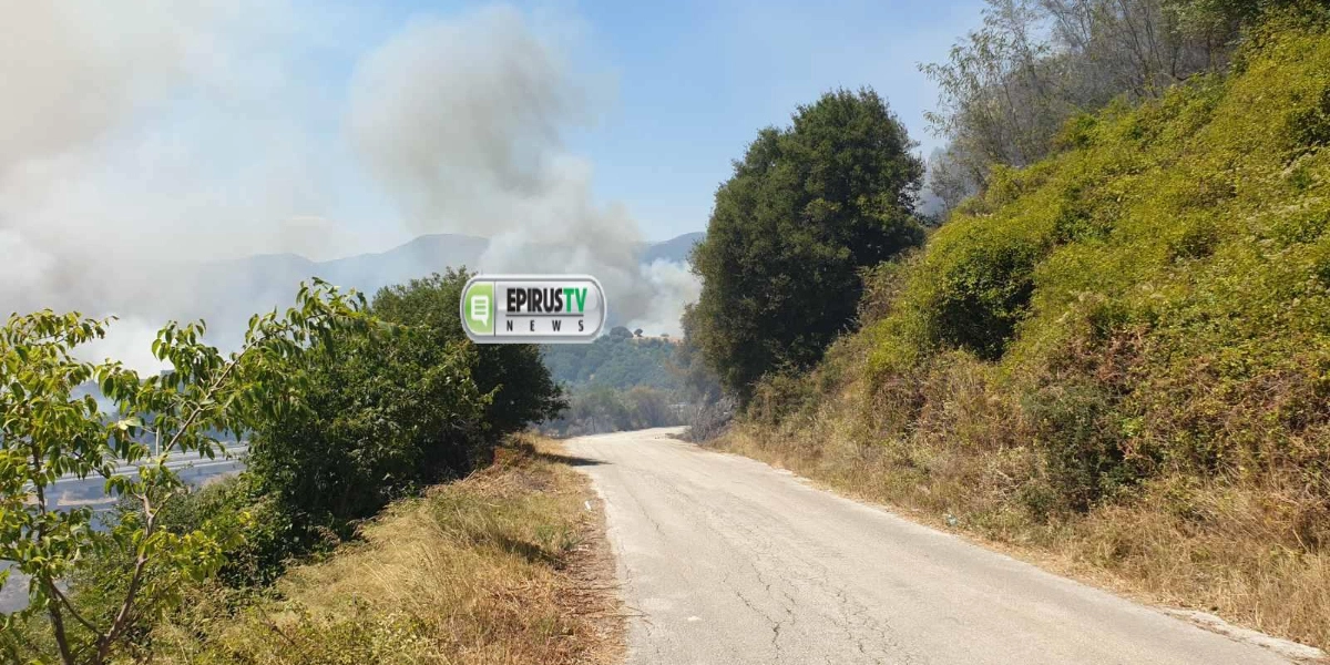 Πρέβεζα: Σε κατάσταση έκτακτης ανάγκης ο δήμος Ζηρού