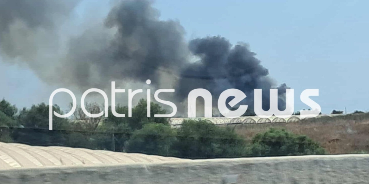 Ηλεία: Υπό έλεγχο τέθηκε η φωτιά στο Καπελέτο