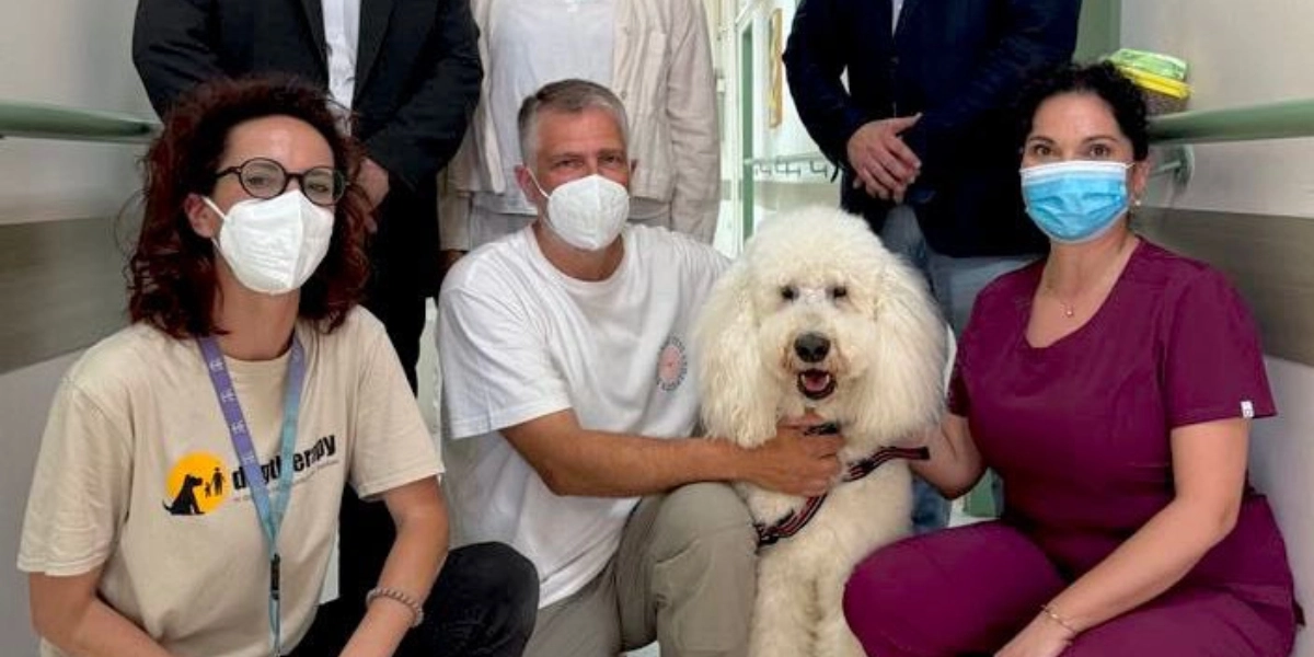 Νοσοκομείο Μεταξά: Σκύλοι θεραπείας δίπλα σε ογκολογικούς ασθενείς
