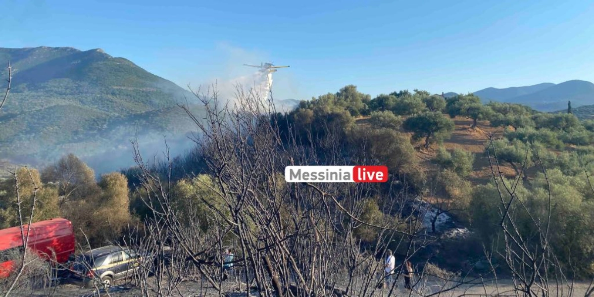 Μεσσηνία: Υπό έλεγχο η φωτιά που ξέσπασε δίπλα στα καμένα στα Πετράλωνα